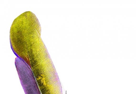 Alzheimer Hamburg | Poesie & Malen - Wenn Worte lebendig werden! - Neue Gruppe startet im März - Wir freuen uns auf  ...